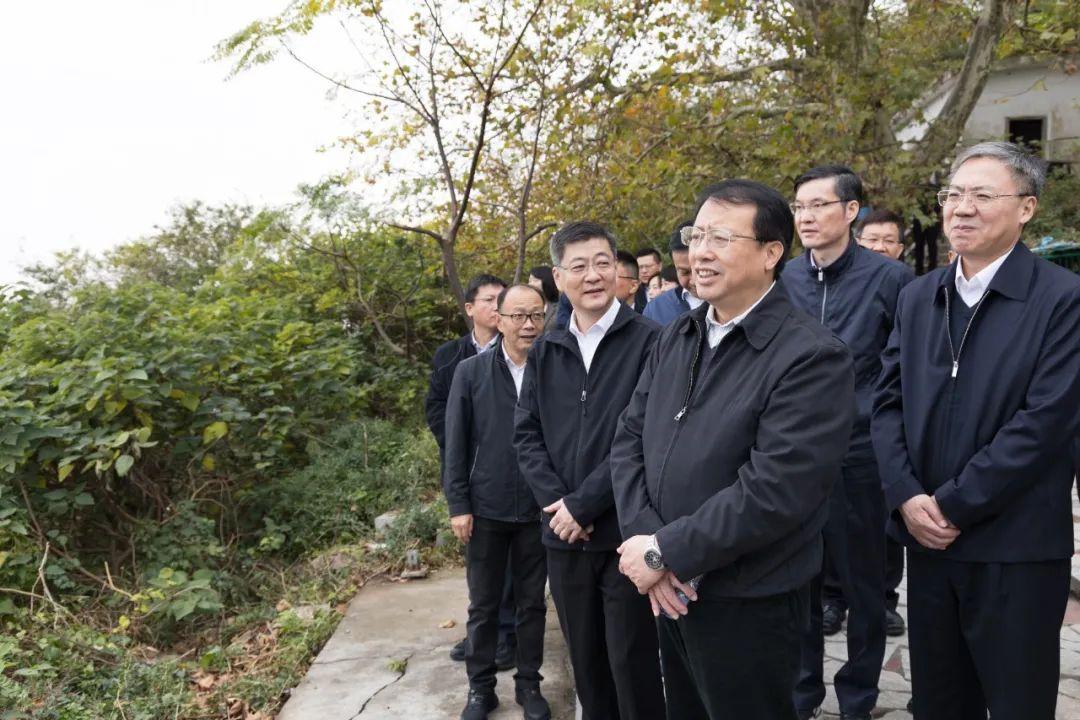 西出阳关无故人,龙蛇作伴谁敢跟是什么生肖打一动物警惕虚假宣传、全面解答与解释、构建解答解释落实